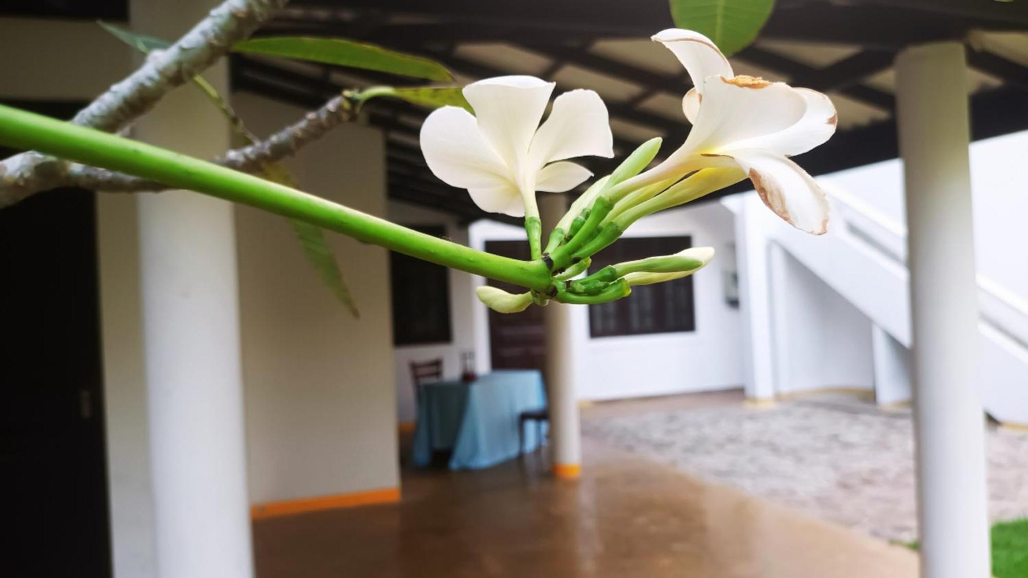兰卡绿色山林小屋 乌纳瓦图纳 外观 照片